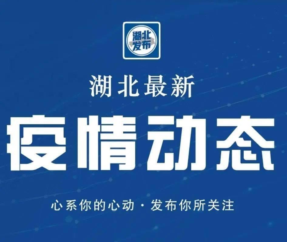 最新疫情权威解读发布，全面了解疫情动态！