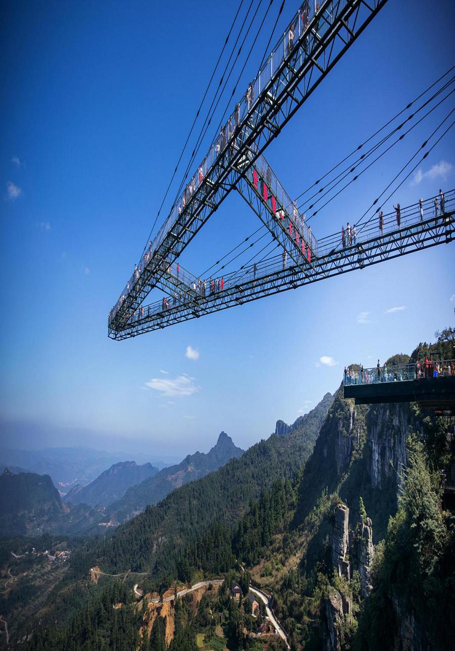 奥陶纪探索之旅，最新指南与步骤详解